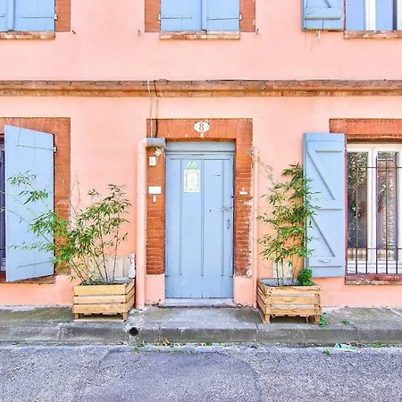 Cosy 48m² On The Ground Floor 圖盧茲